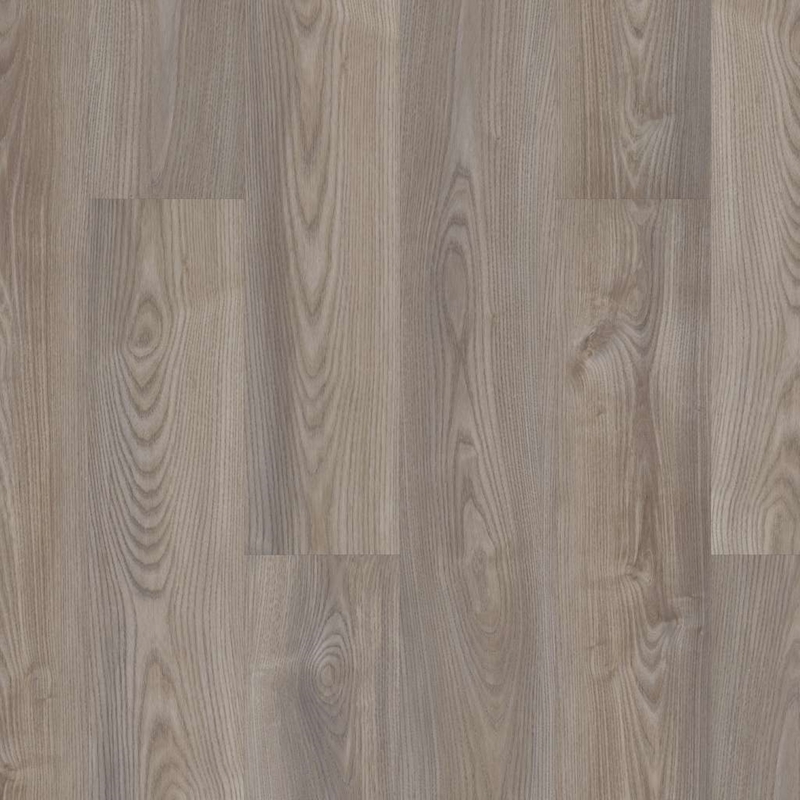 Shaw Anvil Plus Grey Chestnut