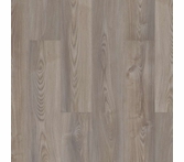 Shaw Anvil Plus Grey Chestnut