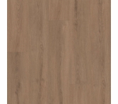 Shaw Floorte Ascent NB Dwell
