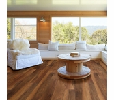 Shaw Floorte Endura Plus Amber Oak