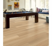 Shaw Floorte Endura Plus Castaway