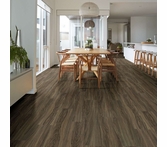 Shaw Floorte Endura Plus Cinnamon Walnut
