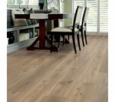 Shaw Floorte Endura Plus Wild Dunes