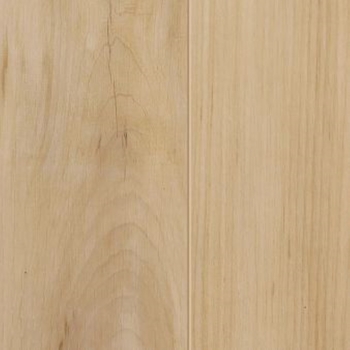 Shaw Floorte Fresh Take Butterfly White