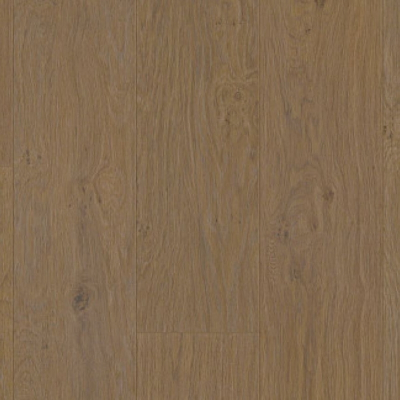 Shaw Floorte Fresh Take Tuxedo Bronze