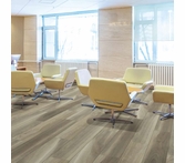 Shaw Pro Intrepid HD Plus Chestnut Oak