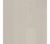 Gaia Nearwood Black Apollo
