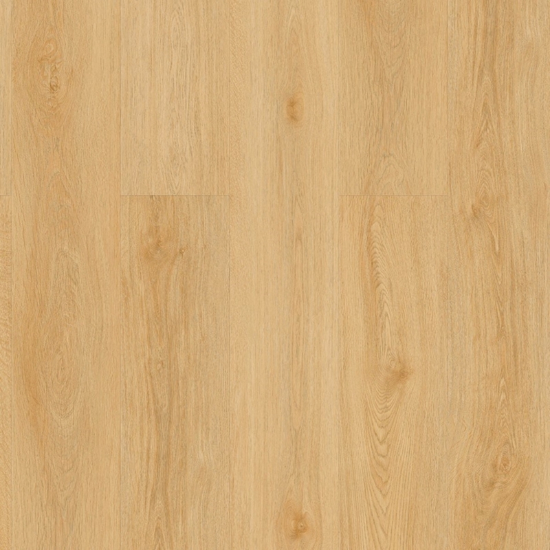 Gaia Nearwood Perennial