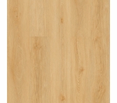 Gaia Nearwood Perennial