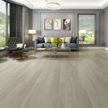 Gaia Eterra White Sanddollar