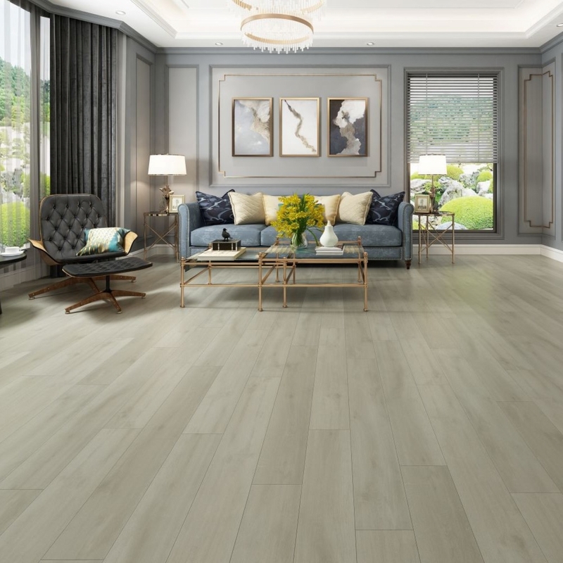 Gaia Eterra White Sanddollar