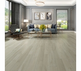 Gaia Eterra White Sanddollar