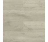 Gaia Eterra White Sanddollar