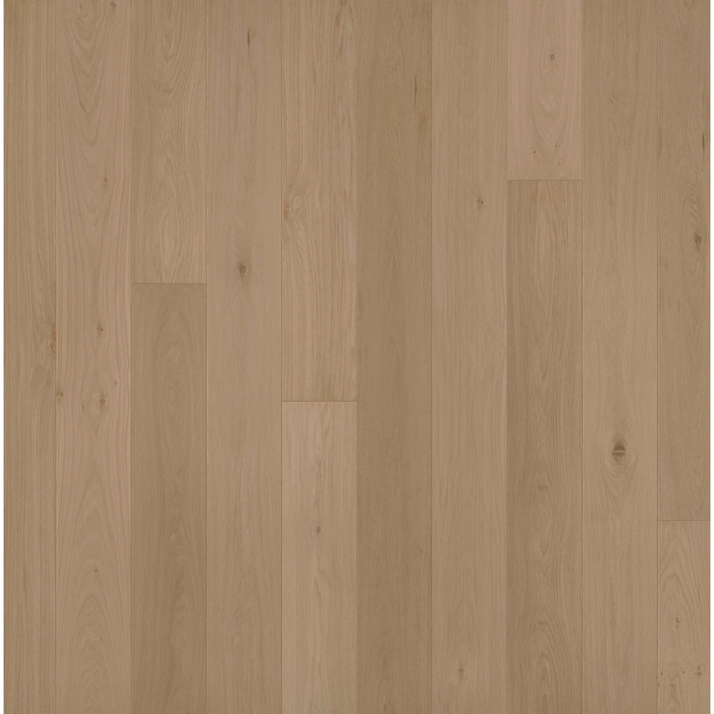 Garrison Allora Doma 7 1/2"