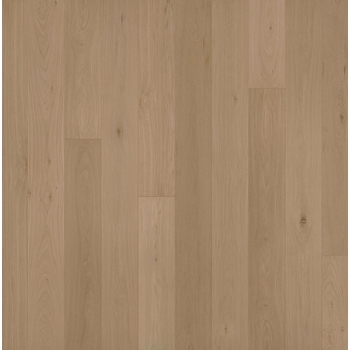 Garrison Allora Doma 7 1/2"