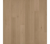 Garrison Allora Doma 9 1/2"