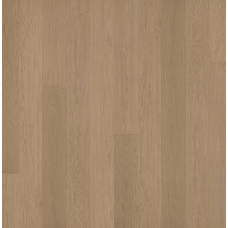 Garrison Allora Doma Select 9 1/2"