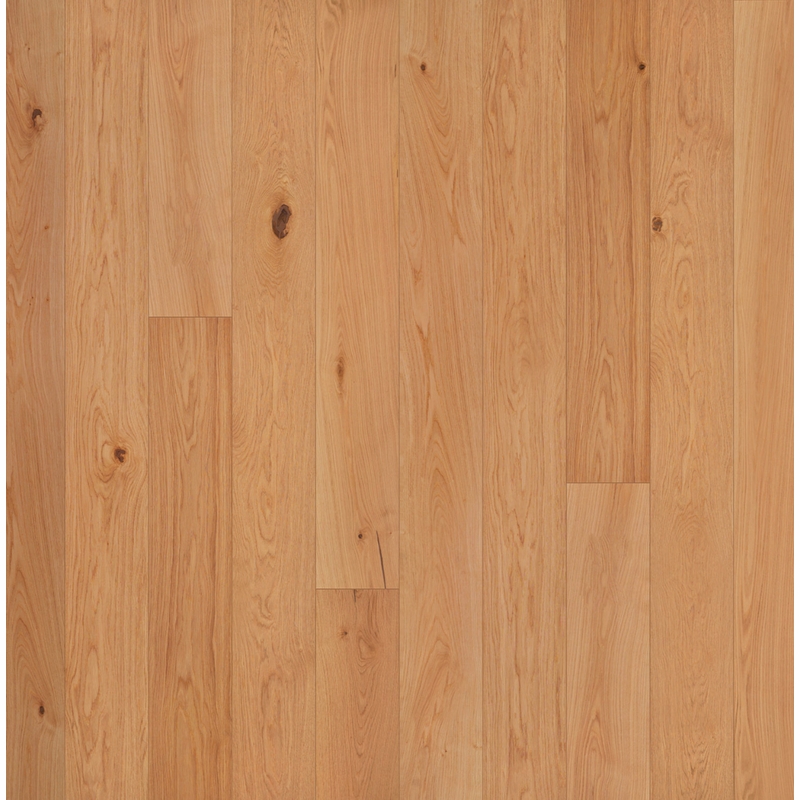 Garrison Allora Strada 7 1/2"