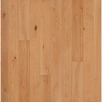 Garrison Allora Strada 9 1/2"