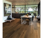 Hallmark Avenue Mulholland