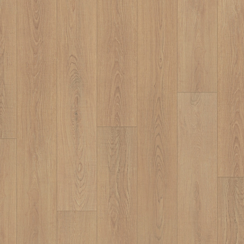 Happy Feet Arrival 10 Alpine Oak