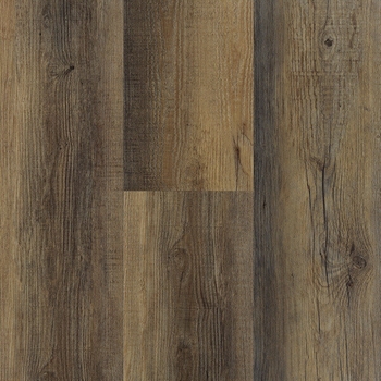 Happy Feet Quick Fit Chestnut