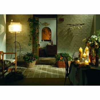 Happy Floors Pietra D' Assisi Noce 16" x 16"