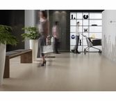 Imola Koshi Beige 12 x 24