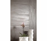 Imola Koshi Dark Grey 12 x 24