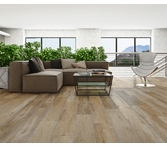 Inhaus Inspirations Coldspring