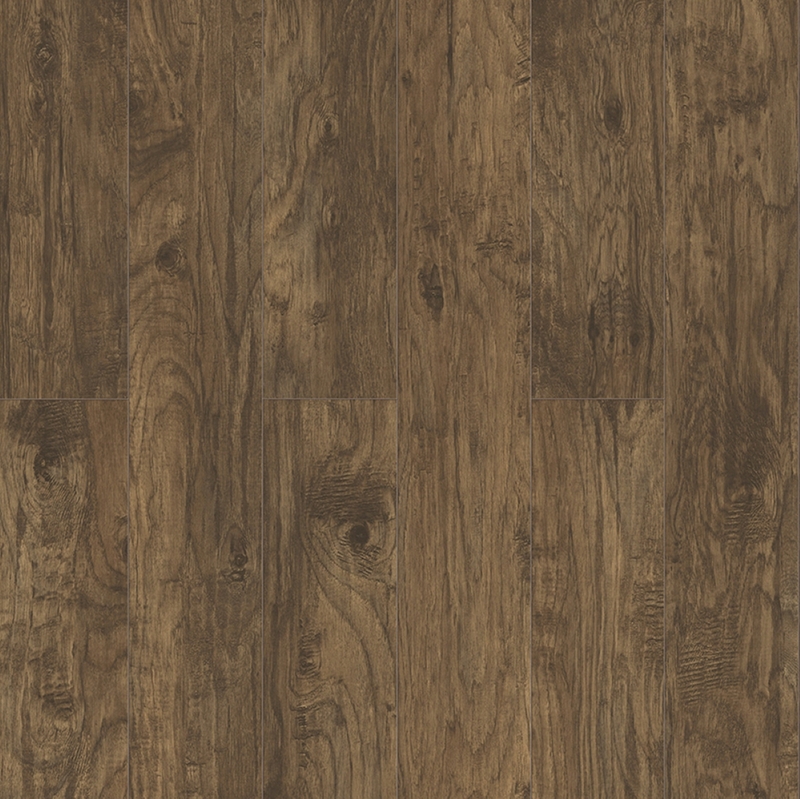 Inhaus Inspirations Grizzly