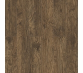Inhaus Inspirations Grizzly