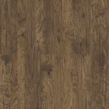 Inhaus Inspirations Grizzly