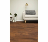 Inhaus Visions Buckthorn