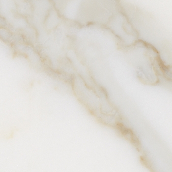 Interceramic Marble Calacatta Gold Polished 18 x 18