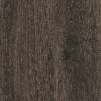 Interceramic Rainforest Brown