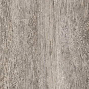 Interceramic Rainforest Gray