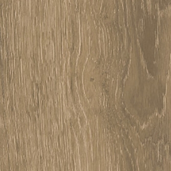 Interceramic Rainforest Nogal