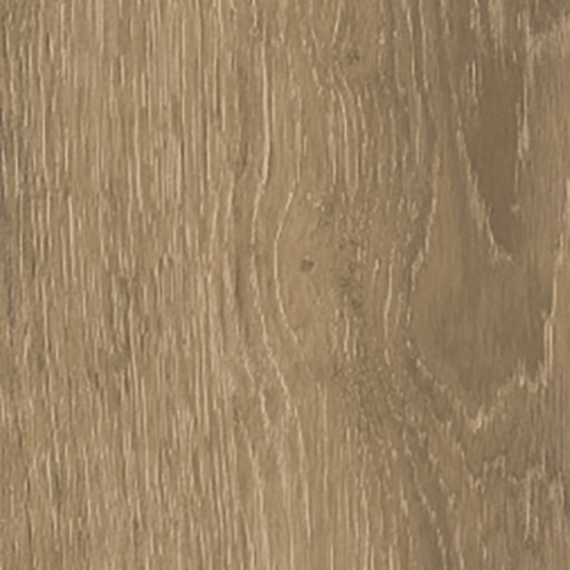 Interceramic Rainforest Nogal