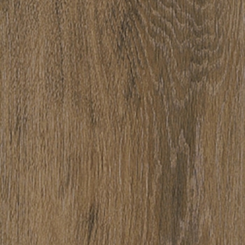 Interceramic Rainforest Taupe