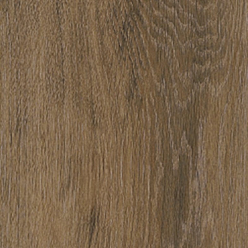 Interceramic Rainforest Taupe
