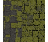Interface Moss