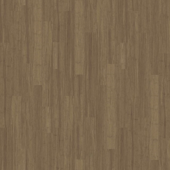 Interface Steady Stride 3.0mm Barley