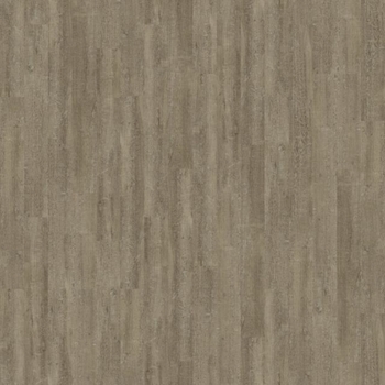 Interface Steady Stride 3.0mm Malt