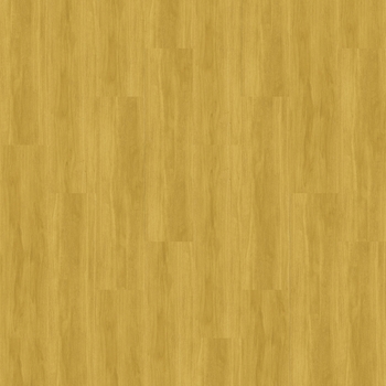 Interface Studio Set 3.0mm Marigold