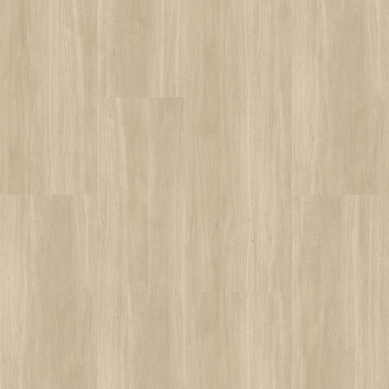 Interface Studio Set 4.5 Sand