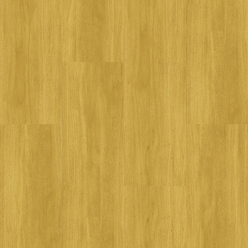 Interface Studio Set 4.5 Marigold