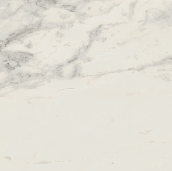 Iris Carrara Select 2.0 Calacatta Renoire 12 x 24 Polished