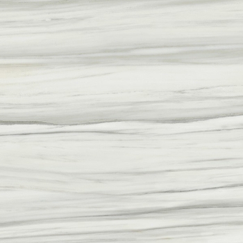Iris Carrara Select 2.0 Zebrino 24 x 48