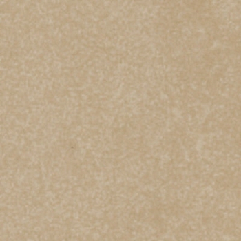 Iris Deluxe Botticino 12 x 12 Polished